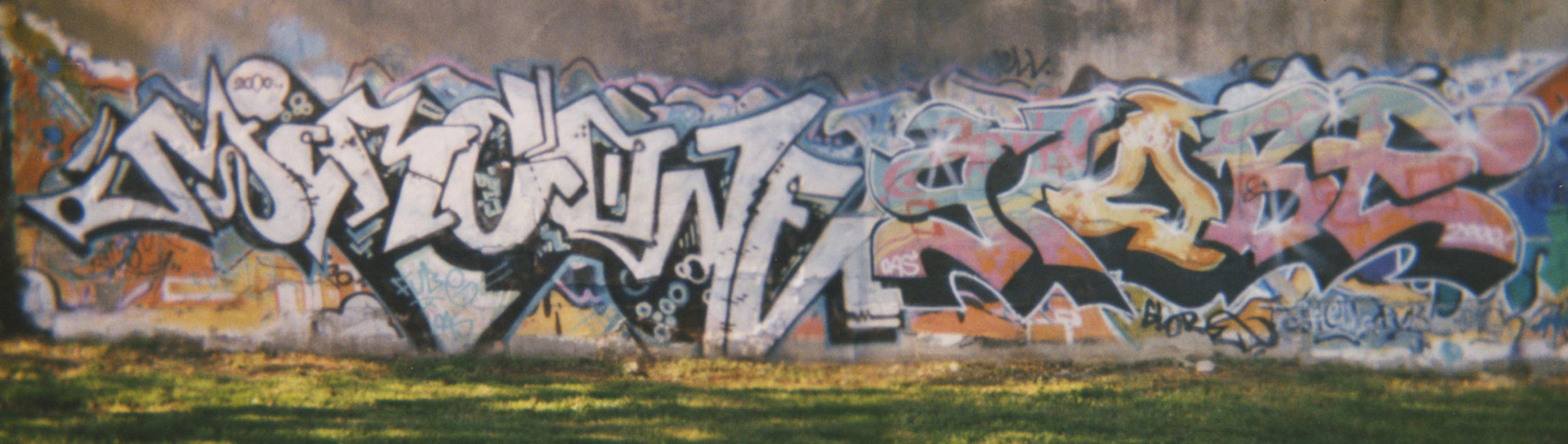 MIRCO + GLOBE  2000
